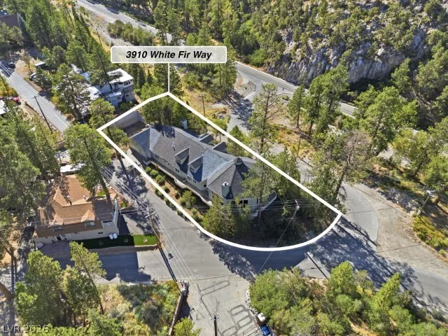 3910 White Fir Way Mount Charleston, NV 89124
