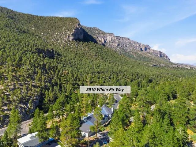 3910 White Fir Way Mount Charleston, NV 89124