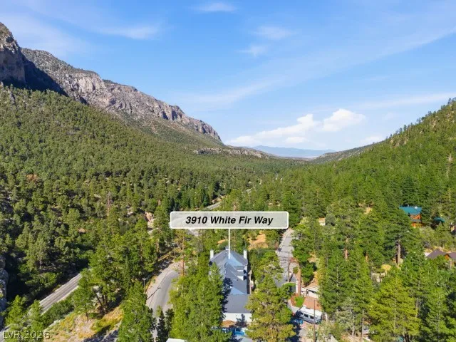 3910 White Fir Way Mount Charleston, NV 89124