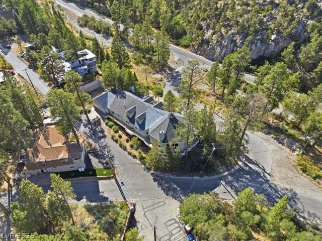 3910 White Fir Way Mount Charleston, NV 89124