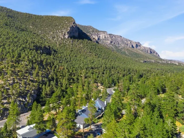 3910 White Fir Way Mount Charleston, NV 89124