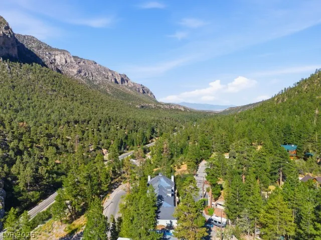 3910 White Fir Way Mount Charleston, NV 89124