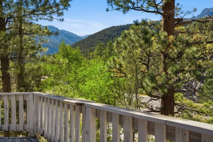 3910 White Fir Way Mount Charleston, NV 89124