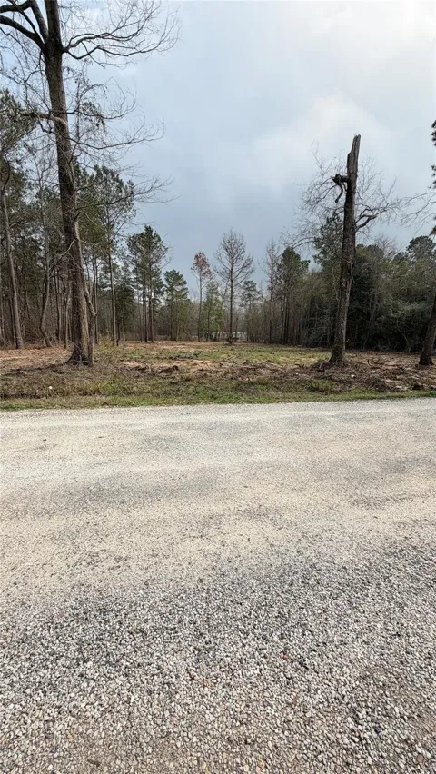 Dogwood Trail