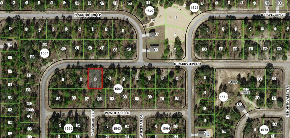 3600 W PARKVIEW DRIVE Citrus Springs, FL 34433