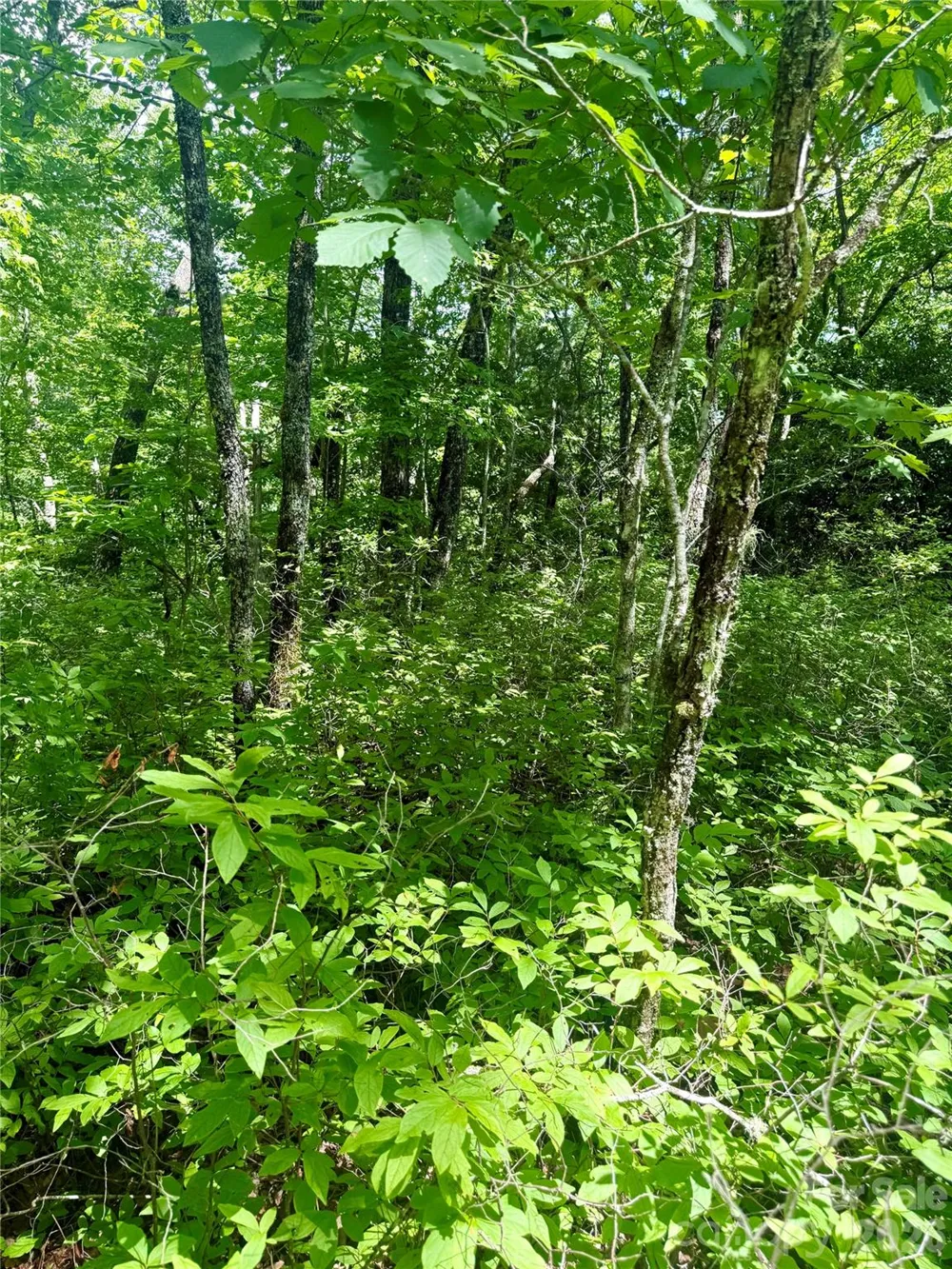 TBD Indian Lake Road #32 Lake Toxaway, NC 28747