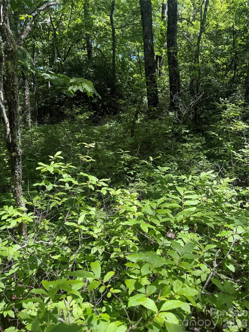 TBD Indian Lake Road #32 Lake Toxaway, NC 28747