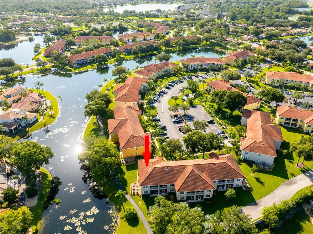 6815 DALI AVENUE #101 Land O Lakes, FL 34637