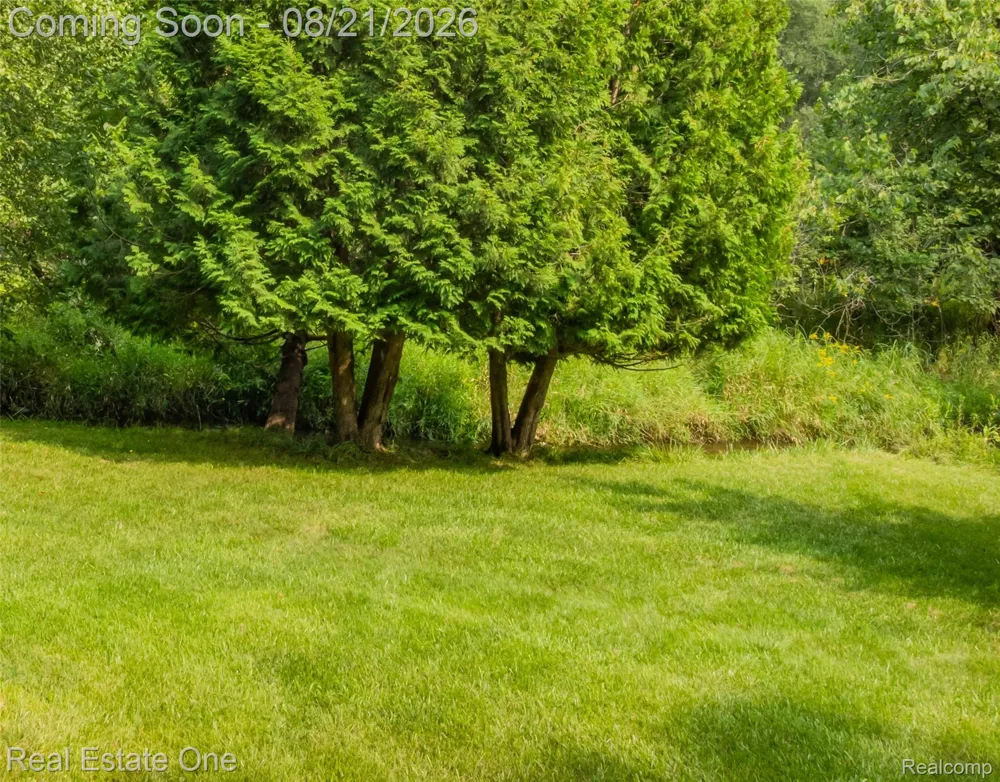 11138 Pine Needle Drive Brighton City, MI 48114