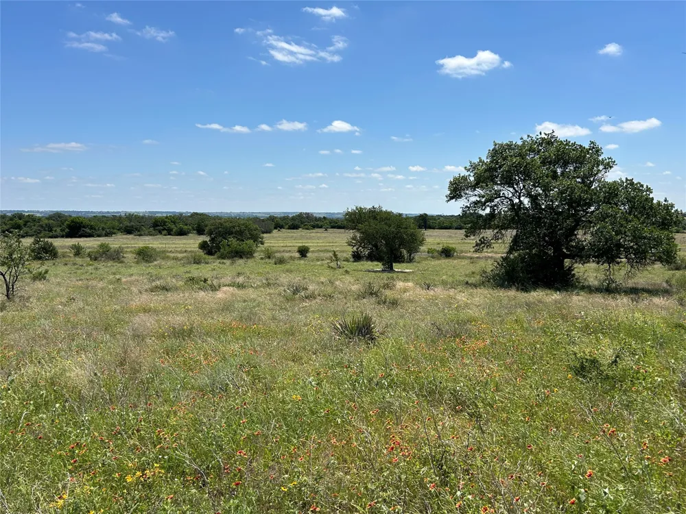FM 2005 Goldthwaite, TX 76844