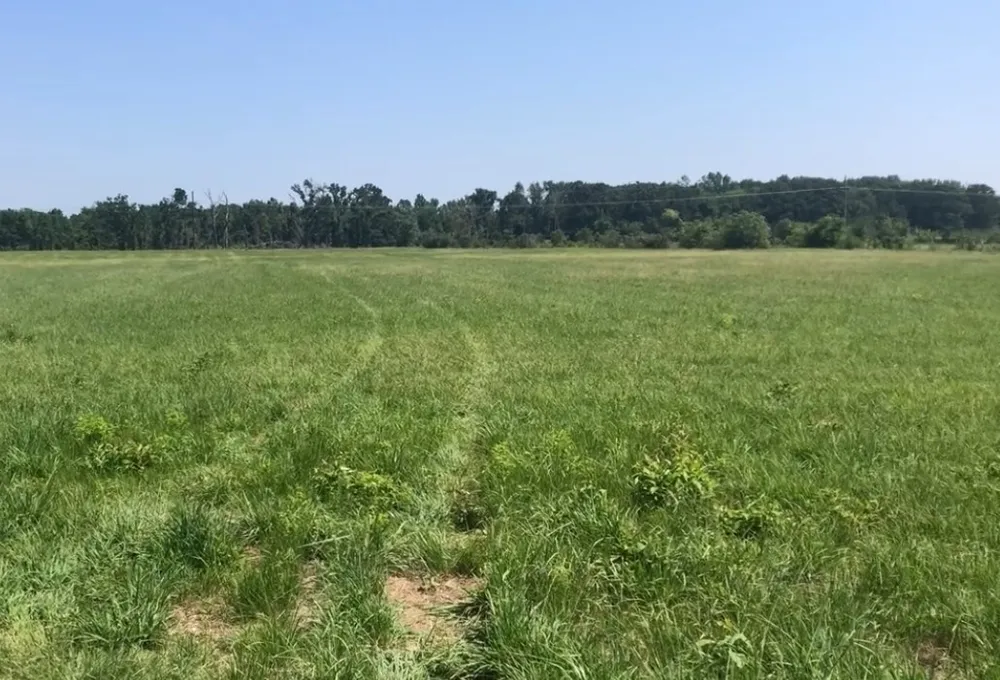 560 W Fm-71 Mt Pleasant, TX 75455