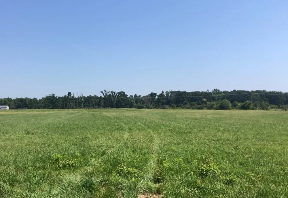 560 W Fm-71 Mt Pleasant, TX 75455