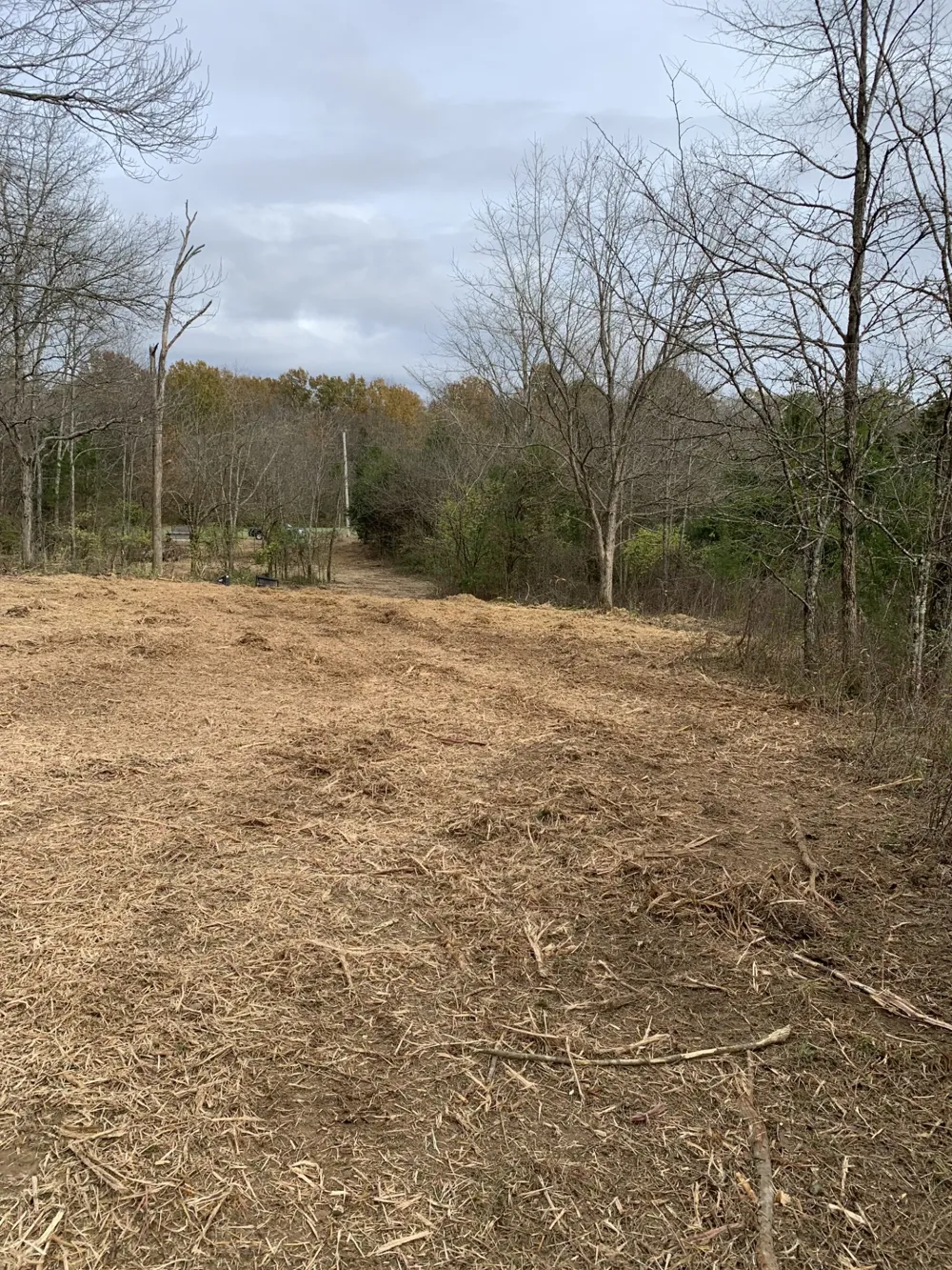 0 Plain View Lane Spring Hill, TN 37174