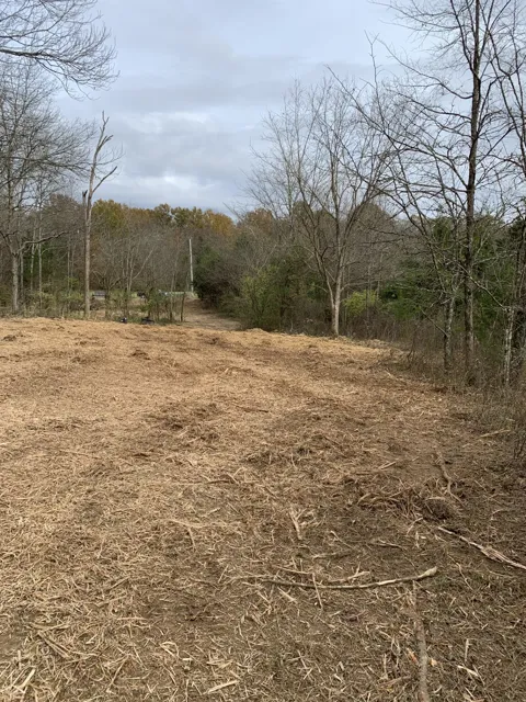 0 Plain View Lane