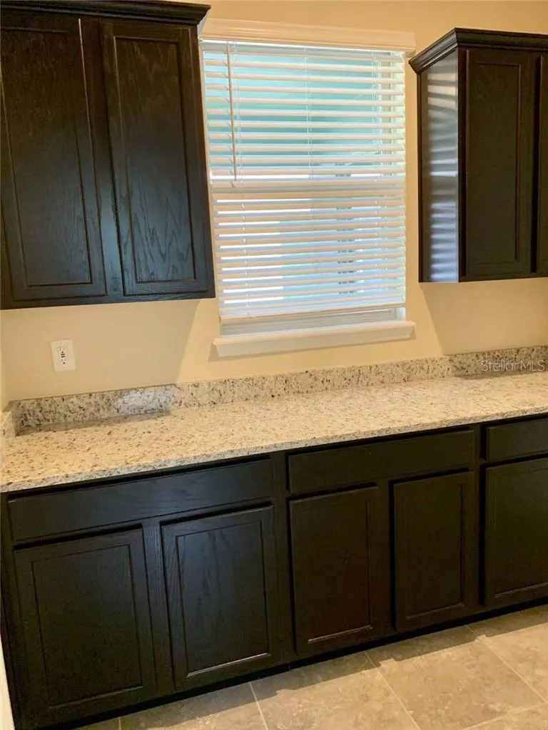 10071 TAWNY MEADOW ALLEY Winter Garden, FL 34787