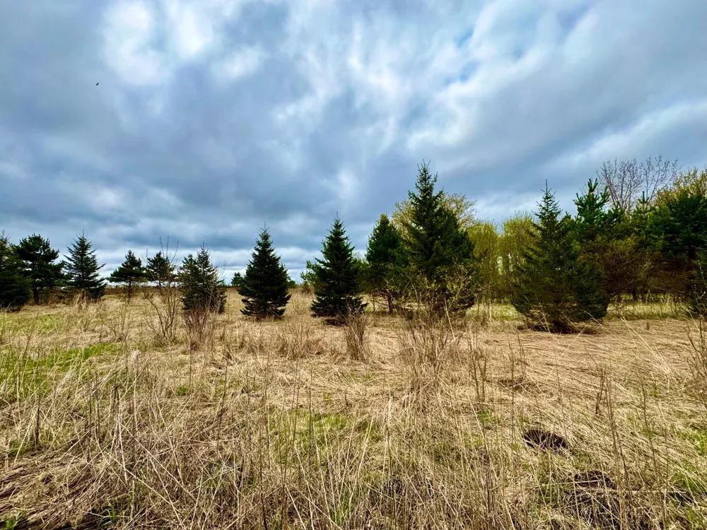 10809 Grand Lake Road Cold Spring, MN 56320