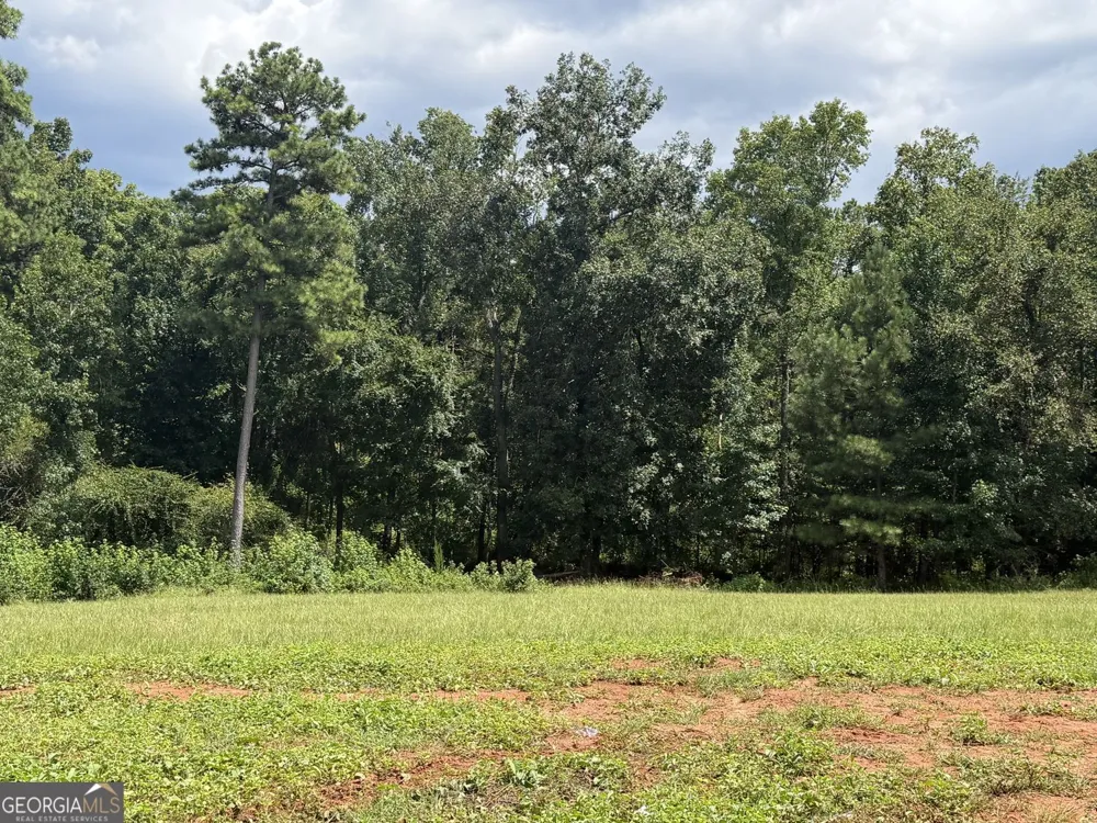681 Pine Grove Church RD Culloden, GA 31016