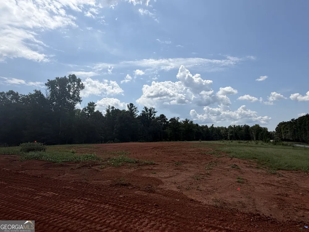 681 Pine Grove Church RD Culloden, GA 31016