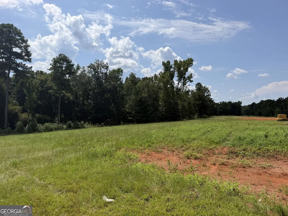 681 Pine Grove Church RD Culloden, GA 31016