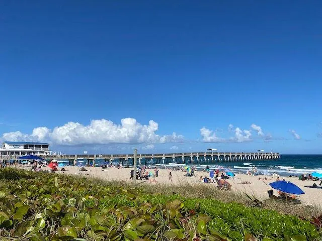 1305 Palmway 