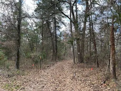 250 Private Road 8579 Winnsboro, TX 75494