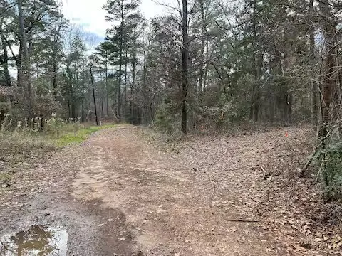 250 Private Road 8579 Winnsboro, TX 75494