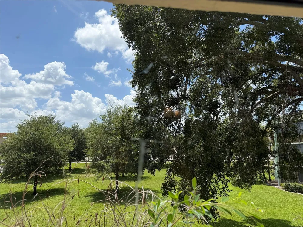 1130 LAKE PARKER AVENUE #C229 Lakeland, FL 33805