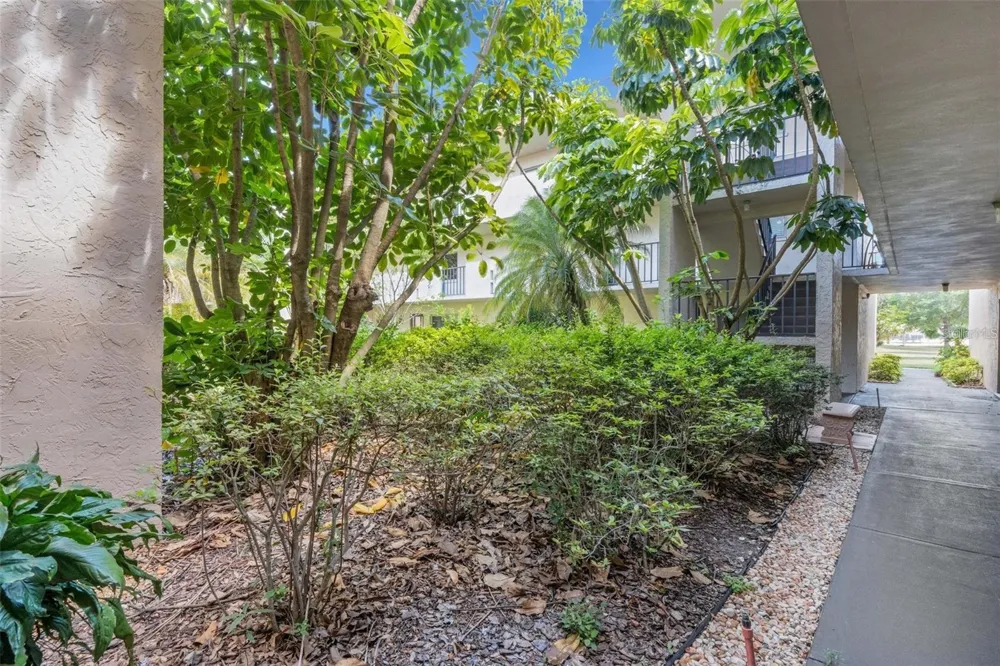 1130 LAKE PARKER AVENUE #C229 Lakeland, FL 33805