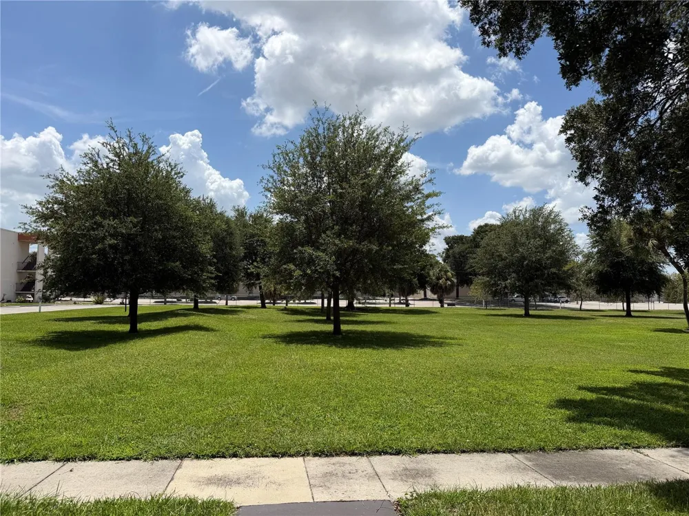1130 LAKE PARKER AVENUE #C229 Lakeland, FL 33805