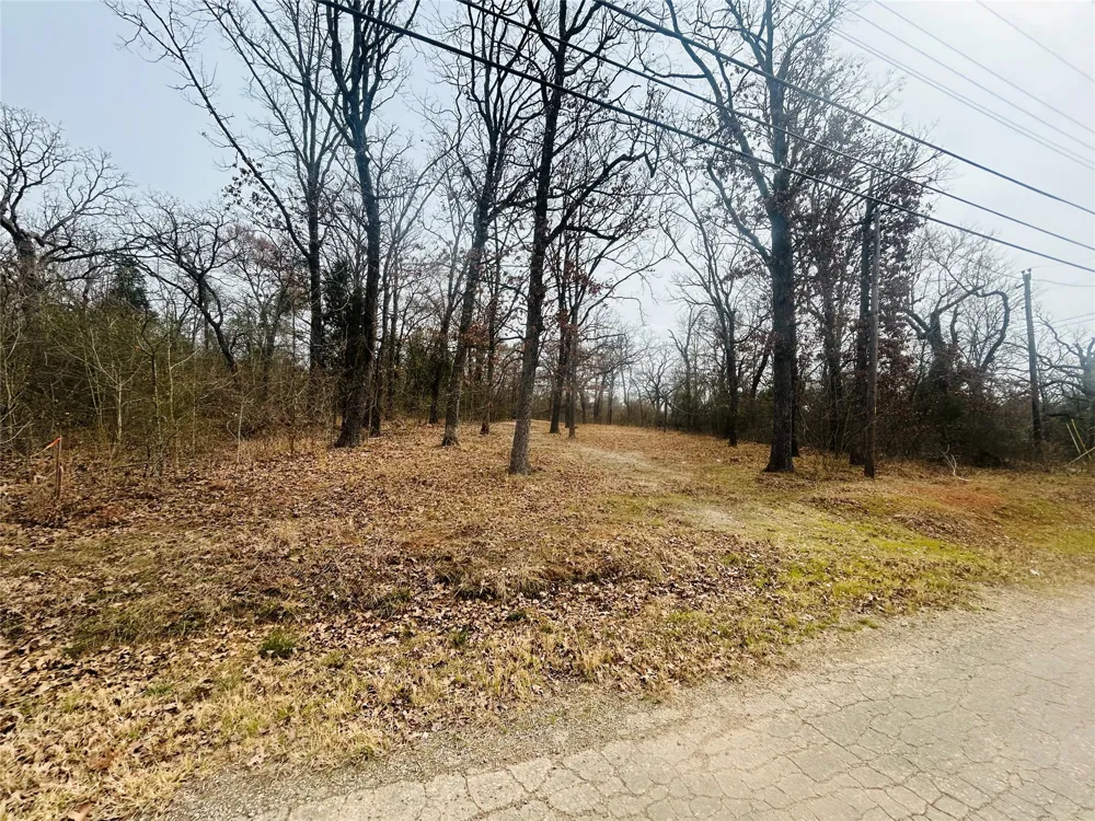 5226 Tom Hickman Lane Log Cabin, TX 75148