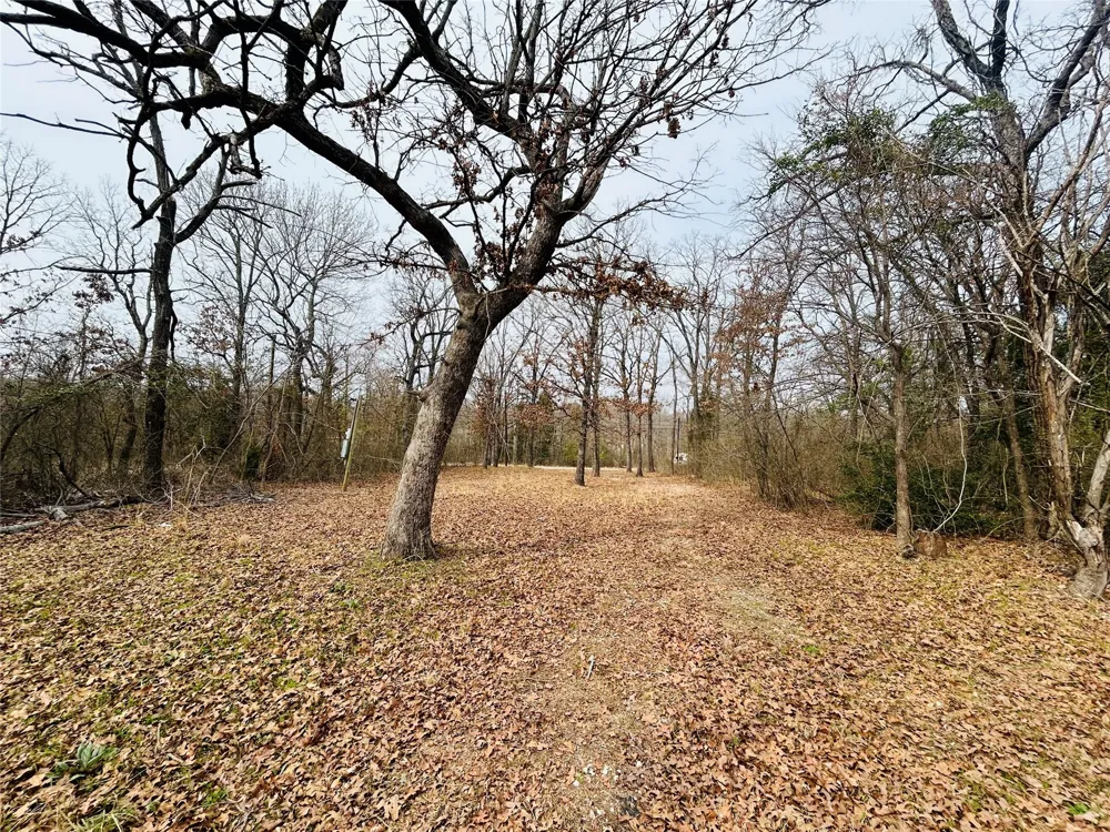 5226 Tom Hickman Lane Log Cabin, TX 75148
