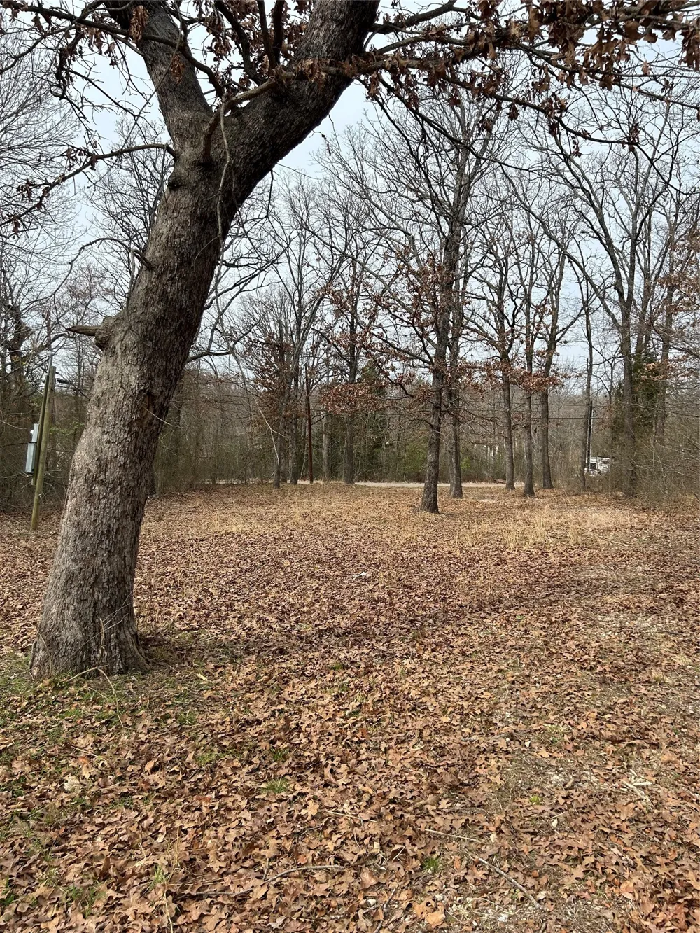 5226 Tom Hickman Lane Log Cabin, TX 75148