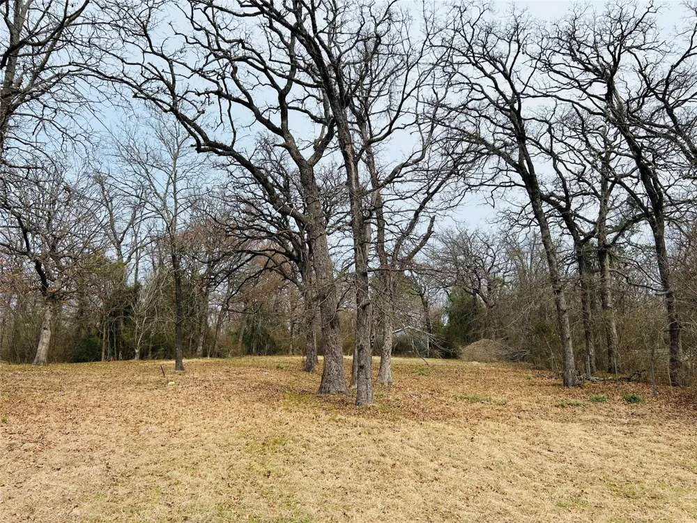 5226 Tom Hickman Lane Log Cabin, TX 75148