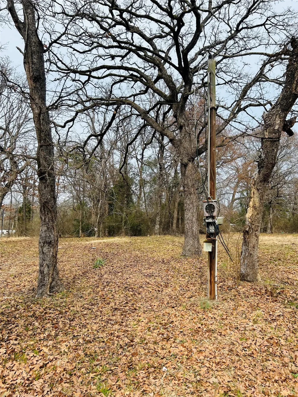 5226 Tom Hickman Lane Log Cabin, TX 75148