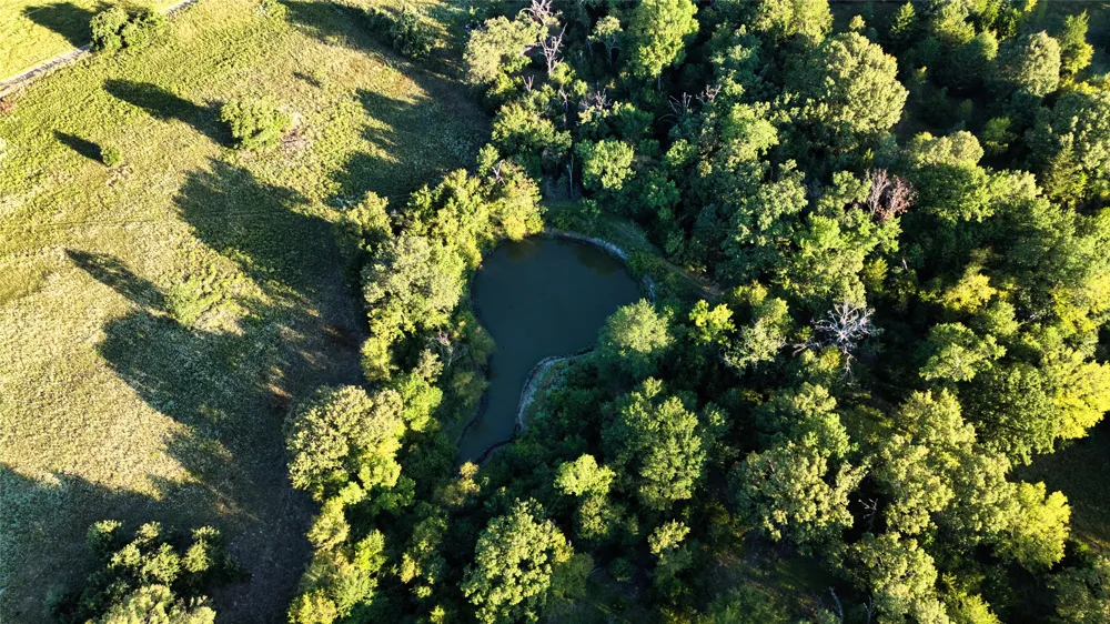 AN County Road 2605 Tennessee Colony, TX 75861