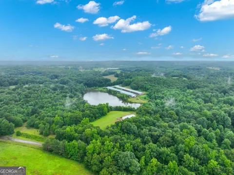397 Reed Brawner RD