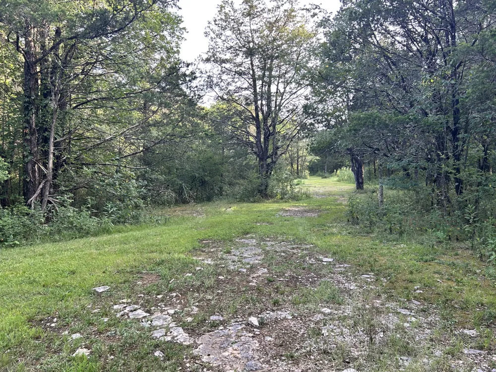 1420 S Berlin Rd Lewisburg, TN 37091