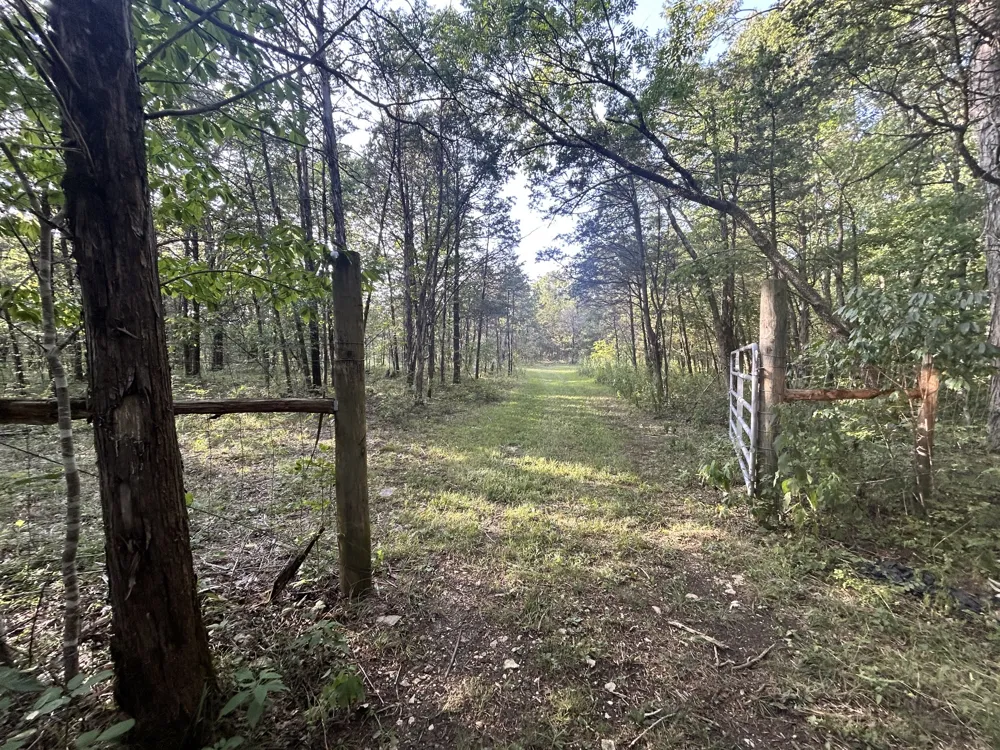1420 S Berlin Rd Lewisburg, TN 37091