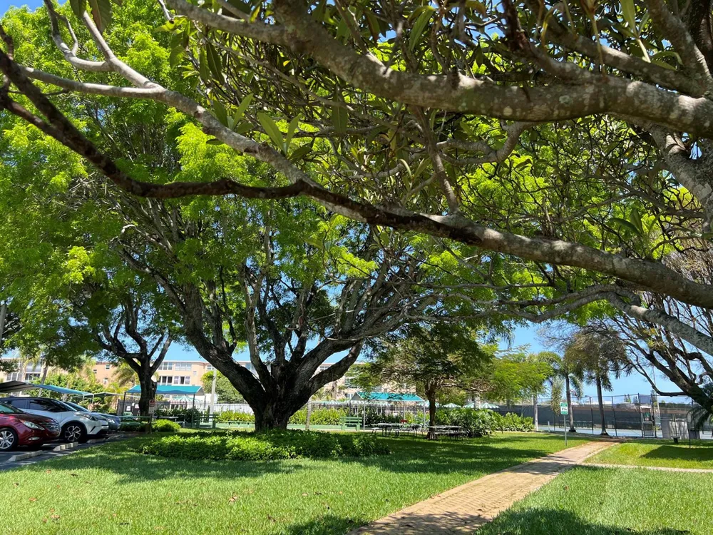 230 NE 26th Avenue #207 Boynton Beach, FL 33435