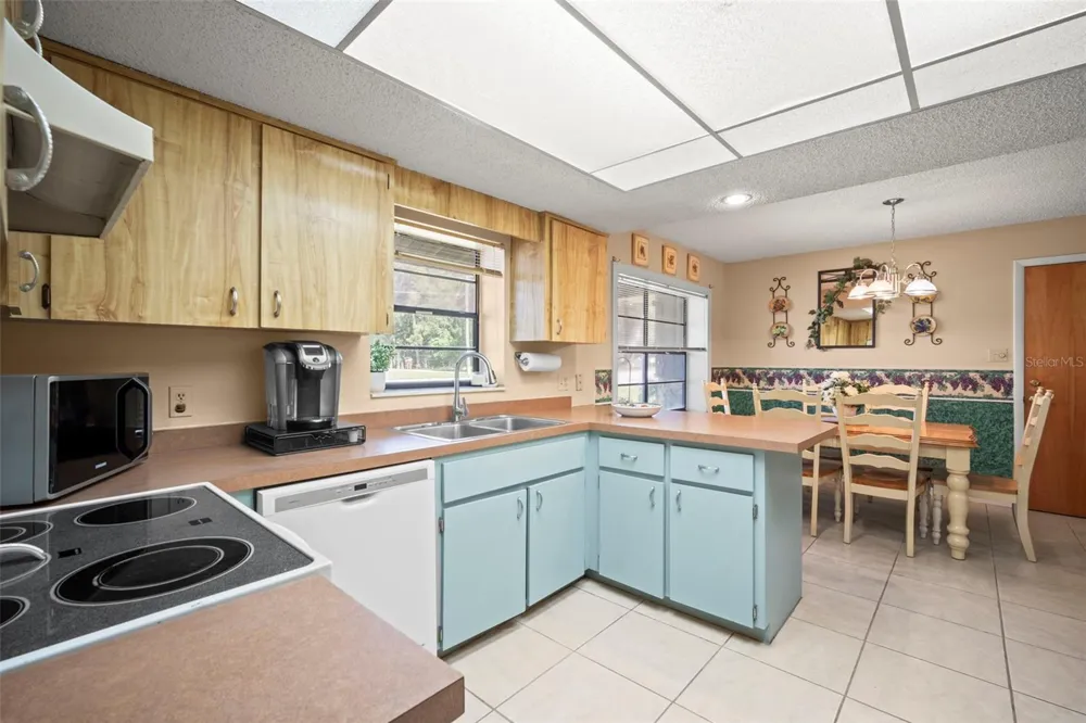 1351 CR 482N Lake Panasoffkee, FL 33538