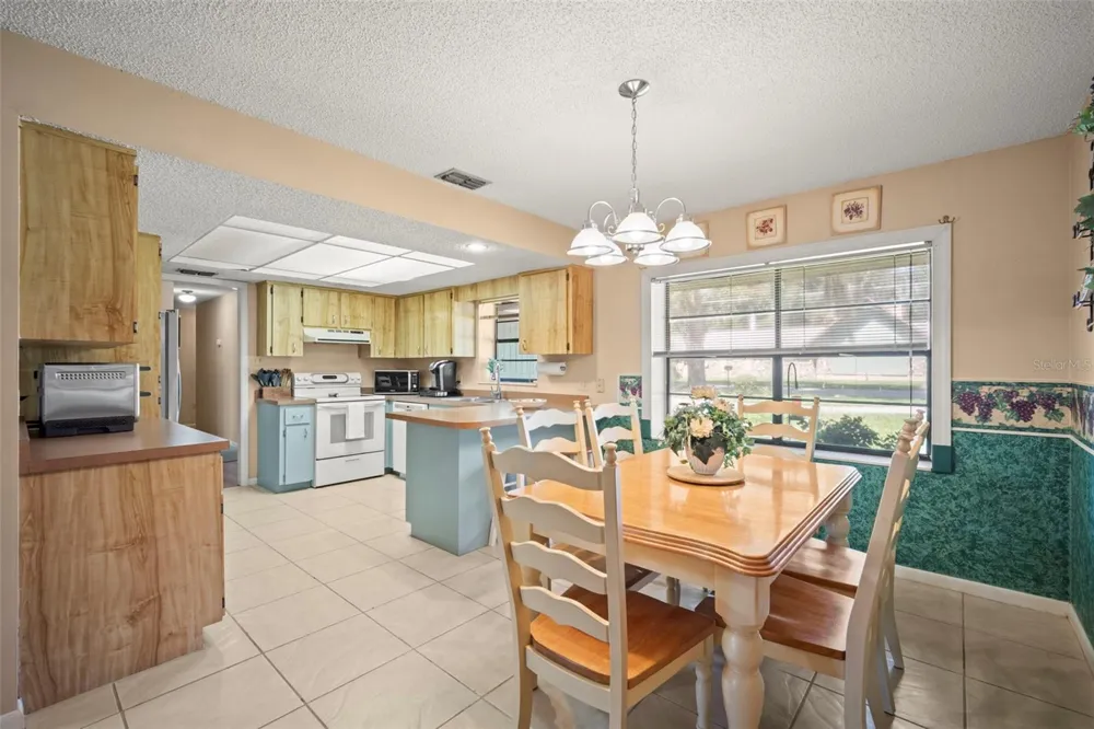 1351 CR 482N Lake Panasoffkee, FL 33538