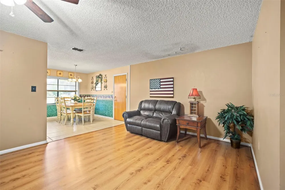 1351 CR 482N Lake Panasoffkee, FL 33538
