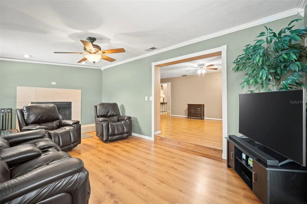 1351 CR 482N Lake Panasoffkee, FL 33538