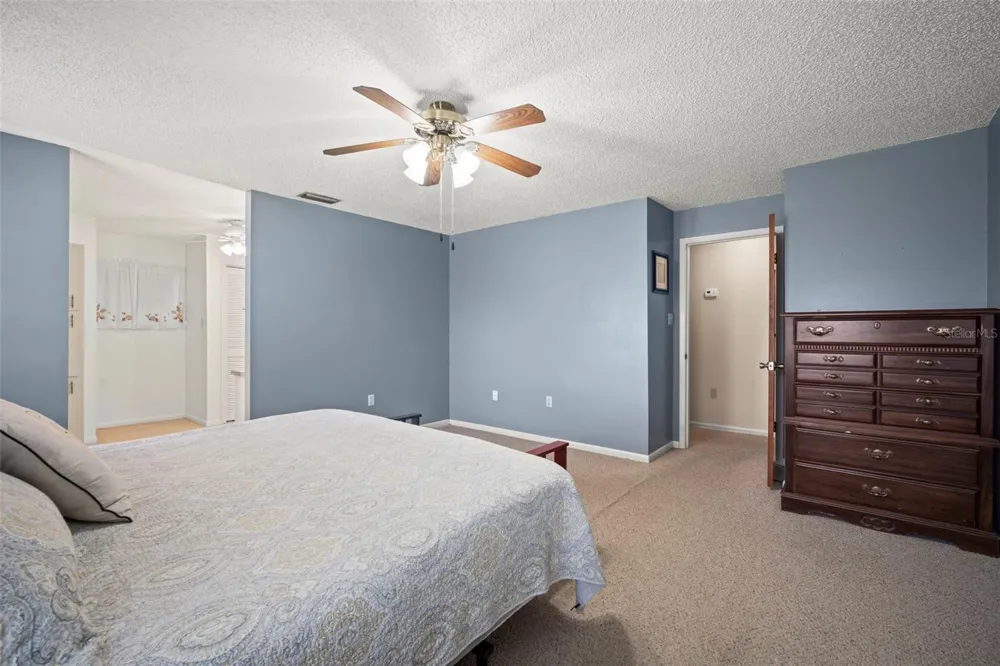 1351 CR 482N Lake Panasoffkee, FL 33538