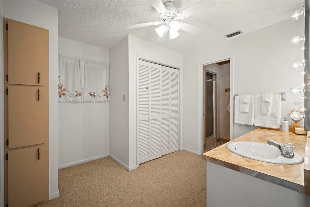 1351 CR 482N Lake Panasoffkee, FL 33538