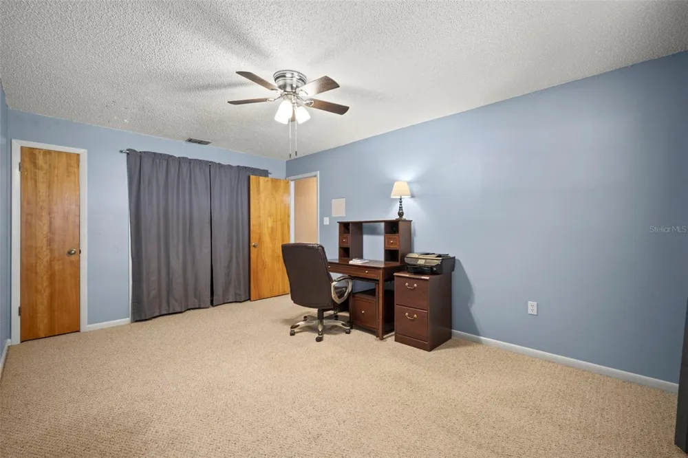 1351 CR 482N Lake Panasoffkee, FL 33538