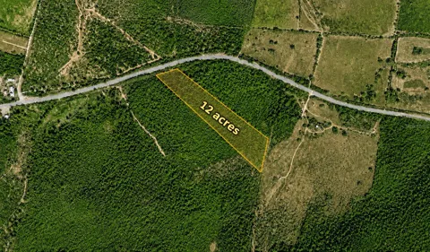 Bo. Costa PR-116 LOTE 6
