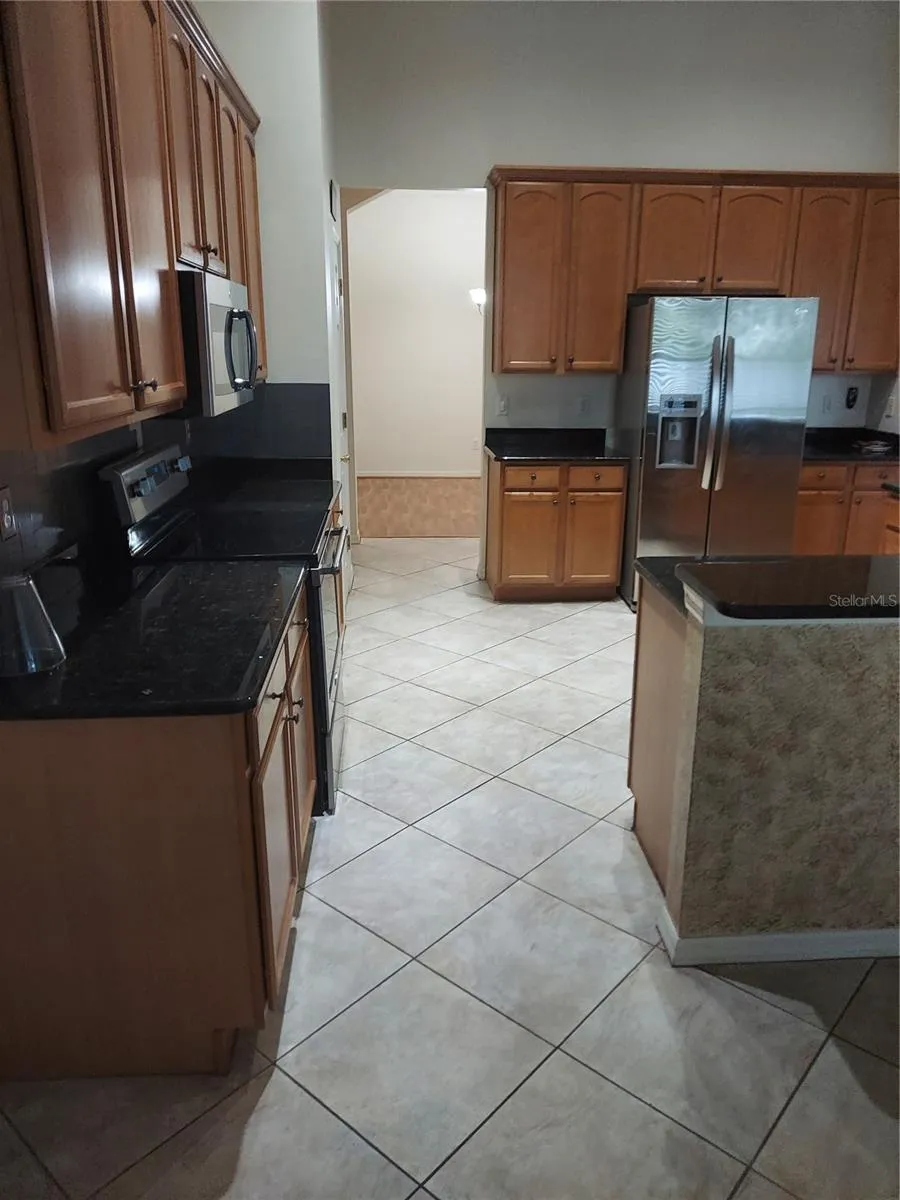 1003 LUMSDEN TRACE CIRCLE Valrico, FL 33594