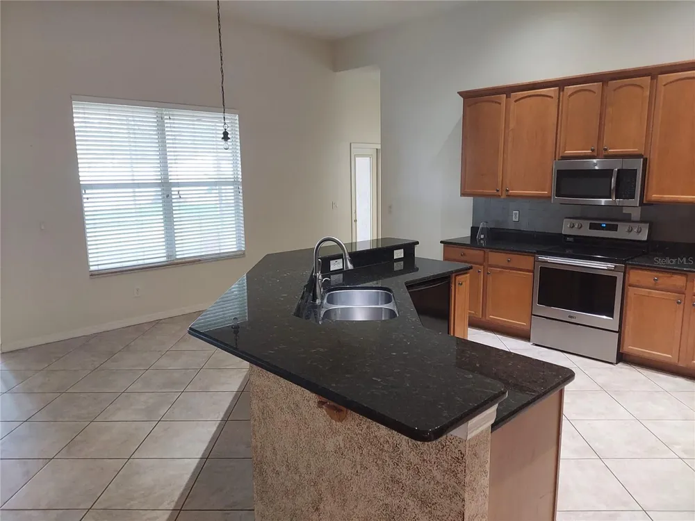 1003 LUMSDEN TRACE CIRCLE Valrico, FL 33594