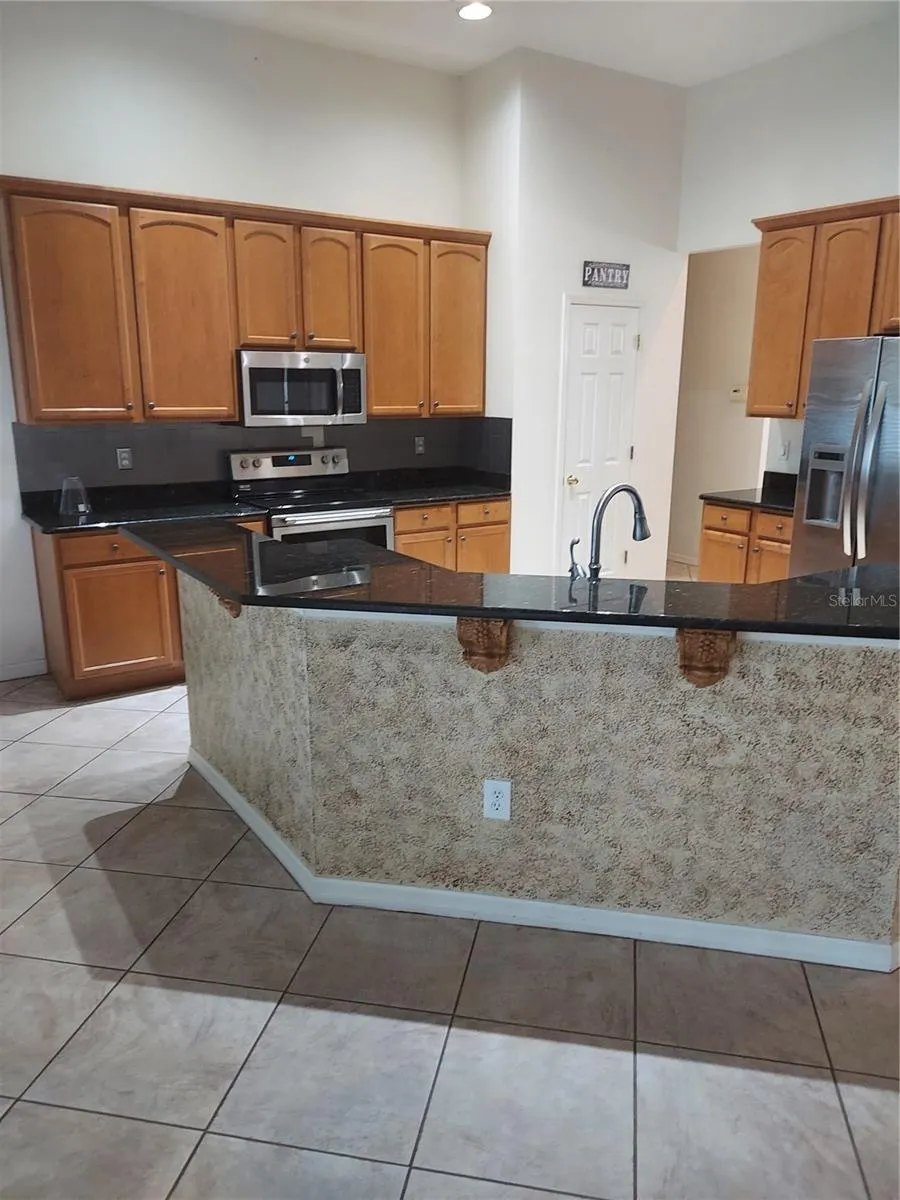 1003 LUMSDEN TRACE CIRCLE Valrico, FL 33594